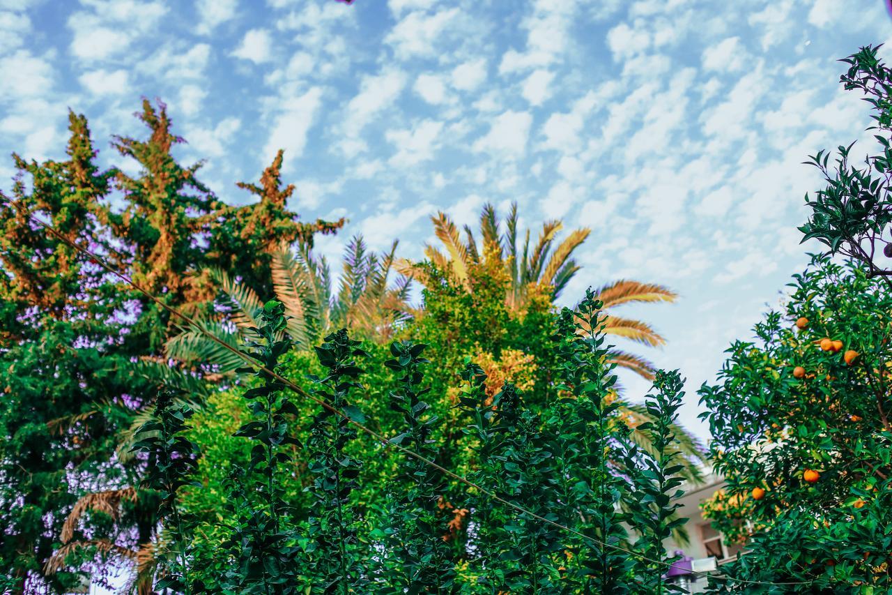 Hadrianus Pansion Hotel Antalya Kültér fotó